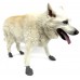 PAWZ - gumená obuv pre psov, veľkosť M, 12 ks - čierna
