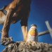 SmoothieDog Immunio 250ml - smoothie pre psa, podporujúce imunitný systém