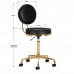 Activ H5 Gold Black - zlatá upravovacia stolička s výškovým nastavením, čierna