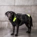 Julius-K9 Multifunkčná vesta Neon - plavecká vesta pre psov, rehabilitačná vesta - XL