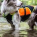 Multifunkčná vesta Julius-K9 Orange - plavecká vesta pre psov, rehabilitácia - S