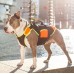Multifunkčná vesta Julius-K9 Orange - plavecká vesta pre psov, rehabilitačná - L