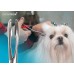Show Tech Safety Kliešte do uší 14cm - kliešte na vytrhávanie srsti z uší psa, rovné 14cm