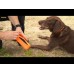 Julius-K9 Multidummie One Hand - multifunkčný sťahovák pre psov, hračka do vody