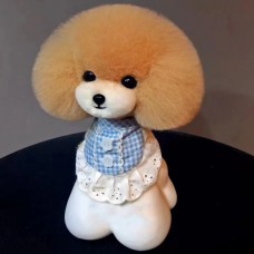 Pán. Jiang Teddy Head Hair - náhradné vlasy pre Teddyho udržiavaciu hlavu, béžové s bielou papuľou