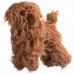 Mr. Jiang Poodle Full Body Hair Lamb - wymienna sierść do manekina groomerskiego Toy Poodle, brązowa