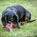 Nylabone Puppy Chicken Wishbone XS - maškrta pre šteňatá, vôňa kura - Pink Nylabone Puppy Chicken Wishbone XS - maškrta pre šteňatá, vôňa kura - Pink