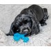 Nylabone Beef Puppy X Shaped Chew XS - malá elastická maškrta pre šteňatá, hovädzia príchuť Nylabone Beef Puppy X Shaped Chew XS - malá elastická maškrta pre šteňatá, hovädzia príchuť
