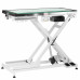 Blovi Luminous Pro 120x65 - profesjonalny stół groomerski z podnośnikiem i podświetlanym, szklanym blatem LED