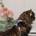 Max&Molly Cat Harness & Leash Cherry Bloom - súprava postroja a vodítka pre mačky, vzor čerešňového kvetu Max&Molly Cat Harness & Leash Cherry Bloom - súprava postroja a vodítka pre mačky, vzor čerešňového kvetu