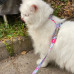 Max&Molly Cat Harness & Leash Cherry Bloom - súprava postroja a vodítka pre mačky, vzor čerešňového kvetu Max&Molly Cat Harness & Leash Cherry Bloom - súprava postroja a vodítka pre mačky, vzor čerešňového kvetu