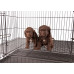 Show Tech Puppy Play Pen Medium 92x92x81cm - klietka pre šteniatka s dvojitým, nastaviteľným dnom