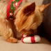 Dashi Xmas Plush Kane 17cm - Vianočná hračka pre psa, plyšová cukrová trstina, šušťanie
