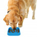 Dexas Slow Maze Feeder 1920ml - miska na spomalenie jedla, bludisko - Modrá Dexas Slow Maze Feeder 1920ml - miska na spomalenie jedla, bludisko - Modrá