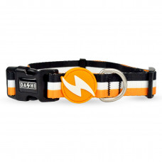Dashi Stripes Orange & Black Collar - obojok pre psa, pruhy - S