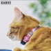 Dashi Flamingo Cat Collar - obojok pre mačky, farebný, vzor plameniaka