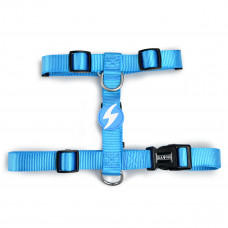Dashi Solid Back Harness Sky Blue - nastaviteľný postroj na stráženie psa, modrý - XS