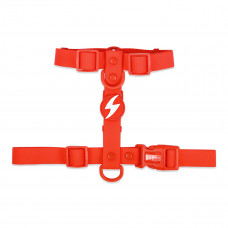 Dashi Colorflex Back Harness Red - nastaviteľný, vodeodolný postroj na stráženie psa, červený - XS