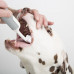 Cleany Teeth for Dogs Starter Pack - ultrazvuková zubná kefka pre psov, na odstraňovanie zubného kameňa