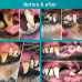Cleany Teeth for Dogs Starter Pack - ultrazvuková zubná kefka pre psov, na odstraňovanie zubného kameňa