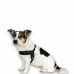 Max&Molly Q-Fit Harness Matrix 2.0 Black - ľahký nášlapný postroj pre psa, s QR ID, čierny - XXS Max&Molly Q-Fit Harness Matrix 2.0 Black - ľahký nášlapný postroj pre psa, s QR ID, čierny - XXS