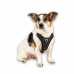Max&Molly Sport Harness Matrix 2.0 Black - szelki regulowane dla psa, z identyfikatorem QR, czarne - L
