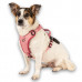 Max&Molly Sport Harness Matrix 2.0 Rose - nastaviteľný postroj pre psa, s QR ID, pastelovo ružový - XL