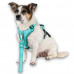 Max&Molly Sport Harness Matrix 20 Turquoise - nastaviteľný postroj pre psa, s QR identifikátorom, tyrkysový - S