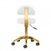 Activ AM-304G Gold White - złote krzesło/taboret groomerski z regulacją wysokości, demontowane oparcie, białe