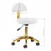 Activ AM-304G Gold White - złote krzesło/taboret groomerski z regulacją wysokości, demontowane oparcie, białe
