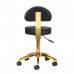 Activ AM-304G Gold Black - złote krzesło/taboret groomerski z regulacją wysokości, demontowane oparcie, czarne