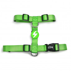 Dashi Solid Back Harness Green - nastaviteľný postroj na ochranu psa, zelený - S