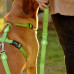 Dashi Solid Back Harness Green - nastaviteľný postroj na ochranu psa, zelený - S