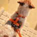 Dashi Solid Back Harness Orange - nastaviteľný postroj na ochranu psa, oranžový - S