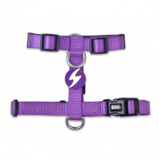 Dashi Solid Back Harness Purple - nastaviteľný postroj na stráženie psa, fialový - M