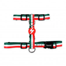 Dashi Stripes Green & Red Back Harness - nastaviteľný postroj na stráženie psa, zelené a červené pruhy - XS