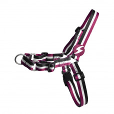Predný postroj Dashi Stripes Purple & Black – postroj pre nórskeho psa, bez ťahania, fialové a čierne pruhy – S