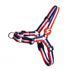 Predný postroj Dashi Stripes Red & Blue - Postroj pre nórskeho psa, bez ťahania, červené a modré pruhy - M