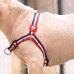 Predný postroj Dashi Stripes Red & Blue - Postroj pre nórskeho psa, bez ťahania, červené a modré pruhy - L
