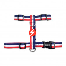 Dashi Stripes Red & Blue Back Harness - nastaviteľný postroj na stráženie psa, červené a modré pruhy - XS