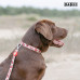 Dashi Tribes Collar - obojok pre psa, farebný, vzor s odvážnymi stvoreniami - XS Dashi Tribes Collar - obojok pre psa, farebný, vzor s odvážnymi stvoreniami - XS