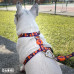 Dashi Pumpkin Back Harness - nastaviteľný postroj na stráženie psa, vzor halloweenskej tekvice - L