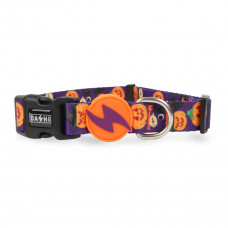 Dashi Pumpkin Collar - obojok pre psa, vzor halloweenskej tekvice - S