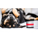 Relaxopet Animal Relaxation Trainer Pro - relaxačné a upokojujúce zariadenie pre vášho psa Relaxopet Animal Relaxation Trainer Pro - relaxačné a upokojujúce zariadenie pre vášho psa