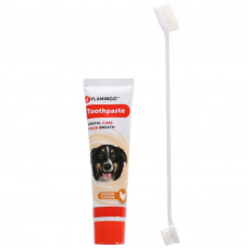 Flamingo Toothpaste & Toothbrush Dafra Tube - sada pre ústnu hygienu psov a mačiek