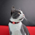 Dashi Stripes Red & Black Cat Collar - obojok pre mačky, červené a čierne pásiky