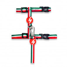 Dashi Stripes Green & Red Cat Harness + Leash - postroj a vodítko pre mačky, sada, zelené a červené pruhy