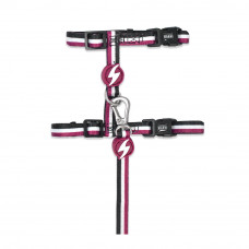 Dashi Stripes Purple & Black Cat Harness + Leash - postroj a vodítko pre mačky, sada, fialové a čierne pruhy