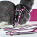 Dashi Stripes Purple & Black Cat Harness + Leash - postroj a vodítko pre mačky, sada, fialové a čierne pruhy