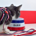 Dashi Stripes Red & Blue Cat Harness + Leash - postroj a vodítko pre mačky, sada, červené a modré pruhy